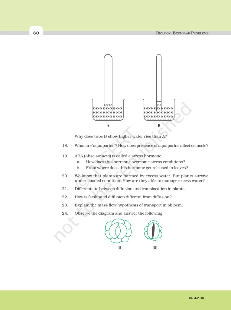 NCERT Exemplar Image 7