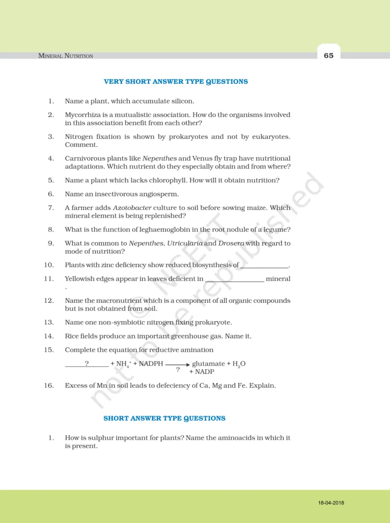 NCERT Exemplar Class 11 Biology Chapter 12 Image 3
