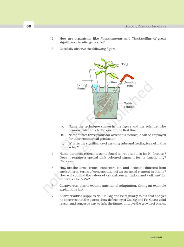 NCERT Exemplar Class 11 Biology Chapter 12 Image 4