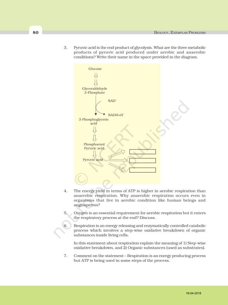 NCERT Exemplar Class 11 Biology Chapter 15 Image 4