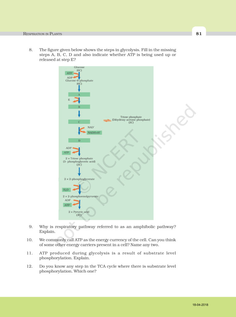 NCERT Exemplar Class 11 Biology Chapter 15 Image 5