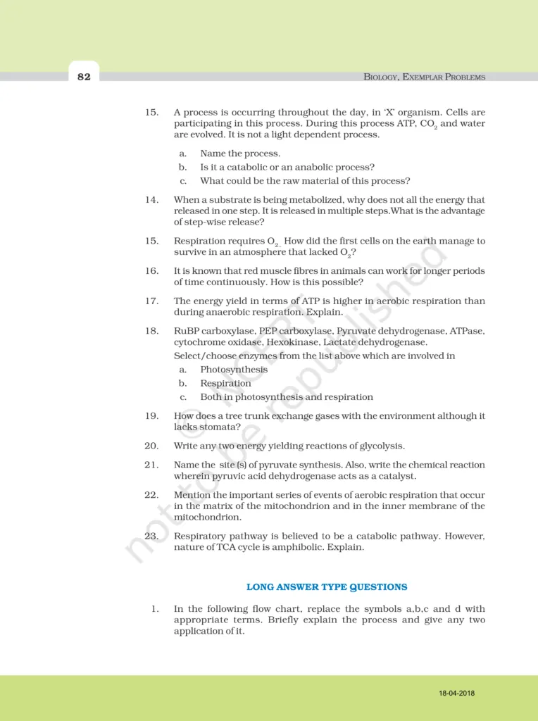 NCERT Exemplar Image 6