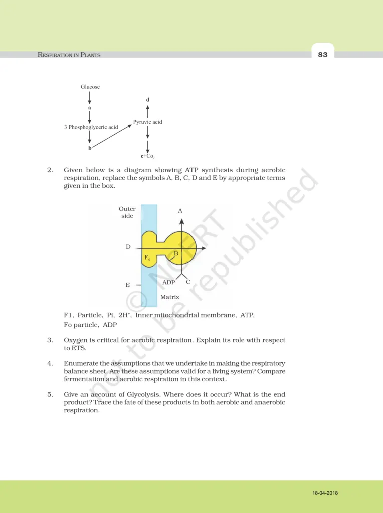 NCERT Exemplar Image 7