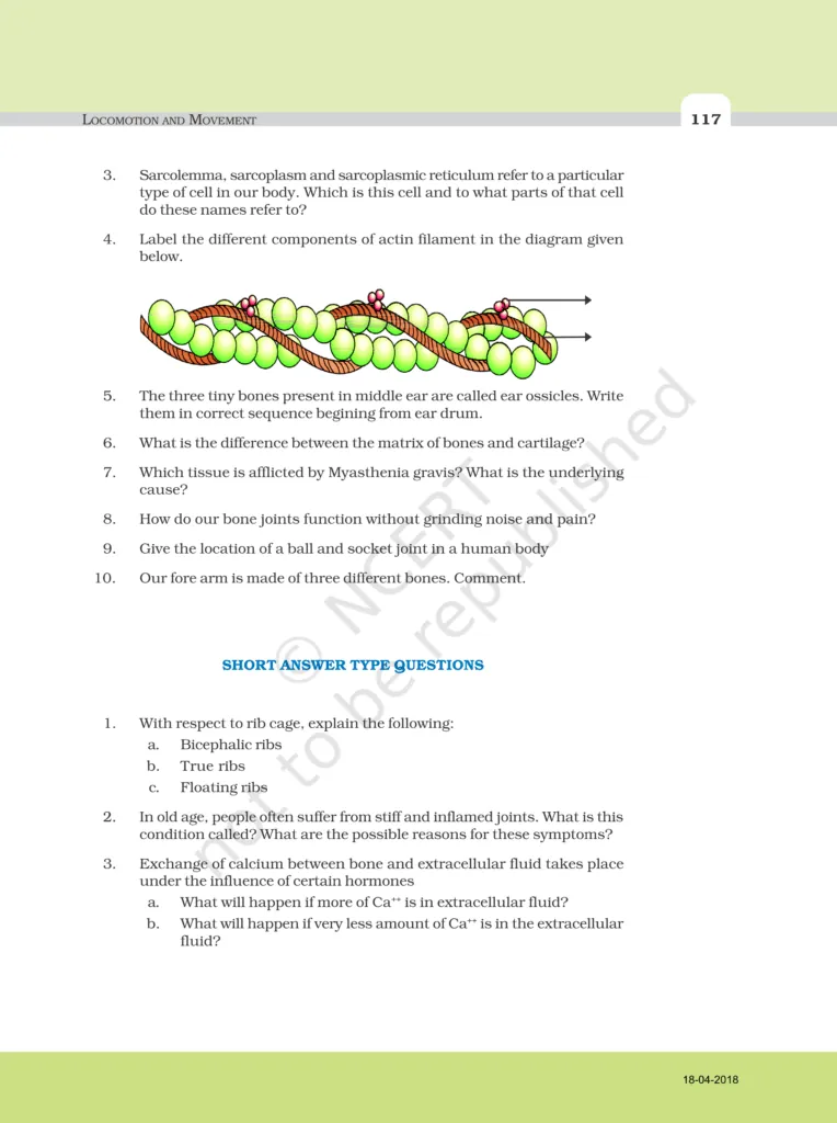 NCERT Exemplar Class 11 Biology Chapter 20 Image 4
