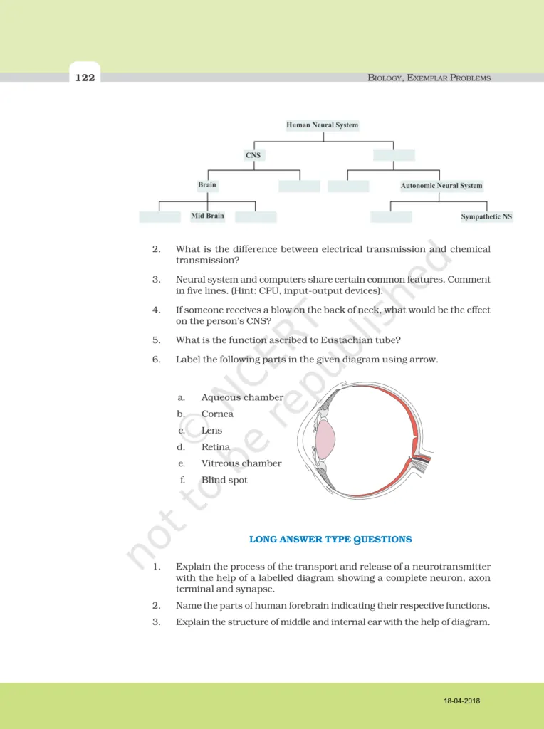 NCERT Exemplar Image 4