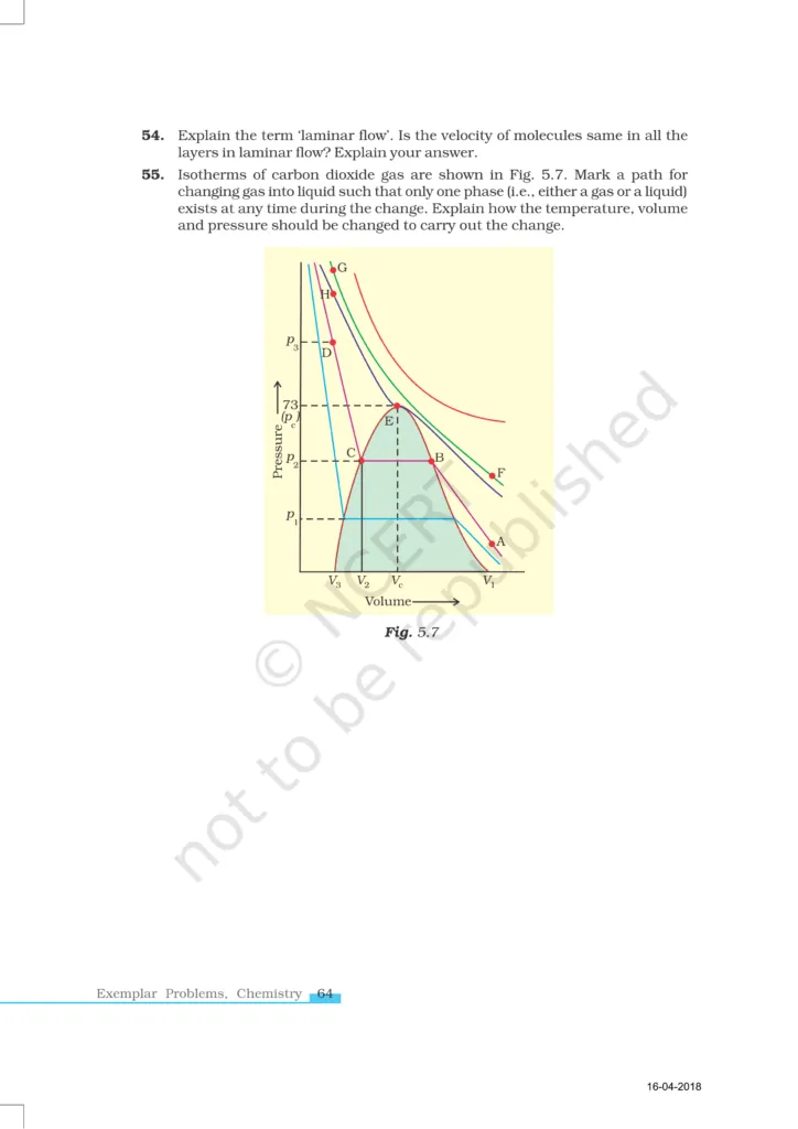 NCERT Exemplar Image 12