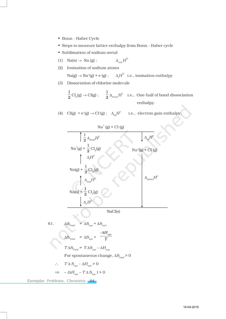 NCERT Exemplar image 17