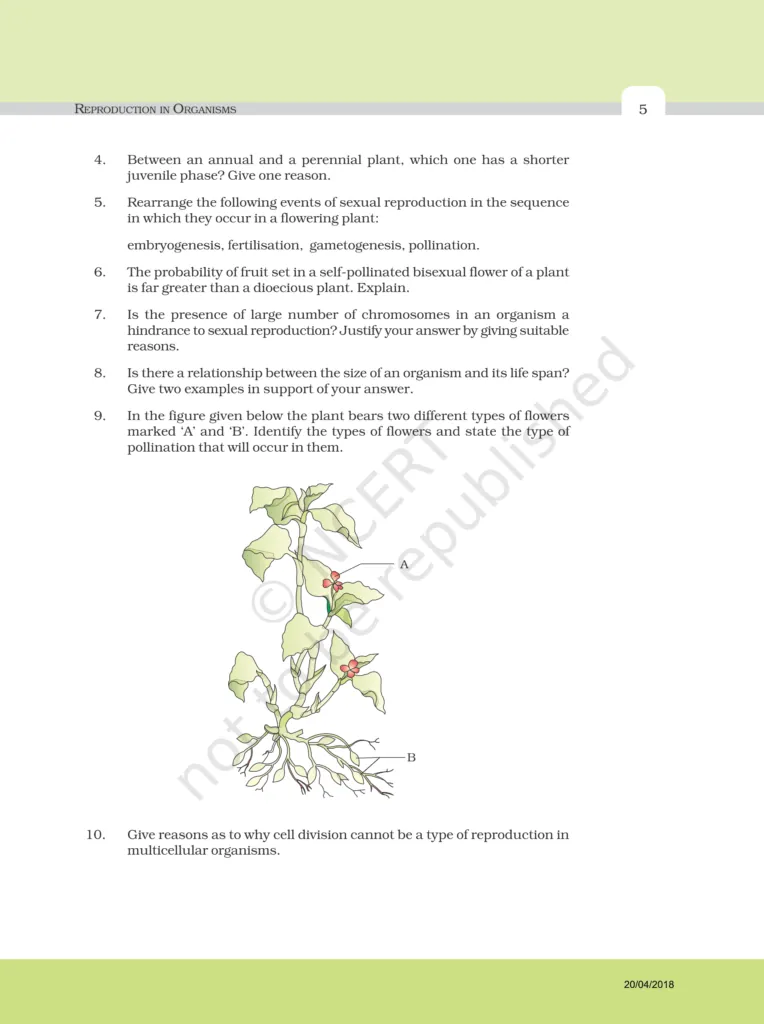NCERT Exemplar Image 5