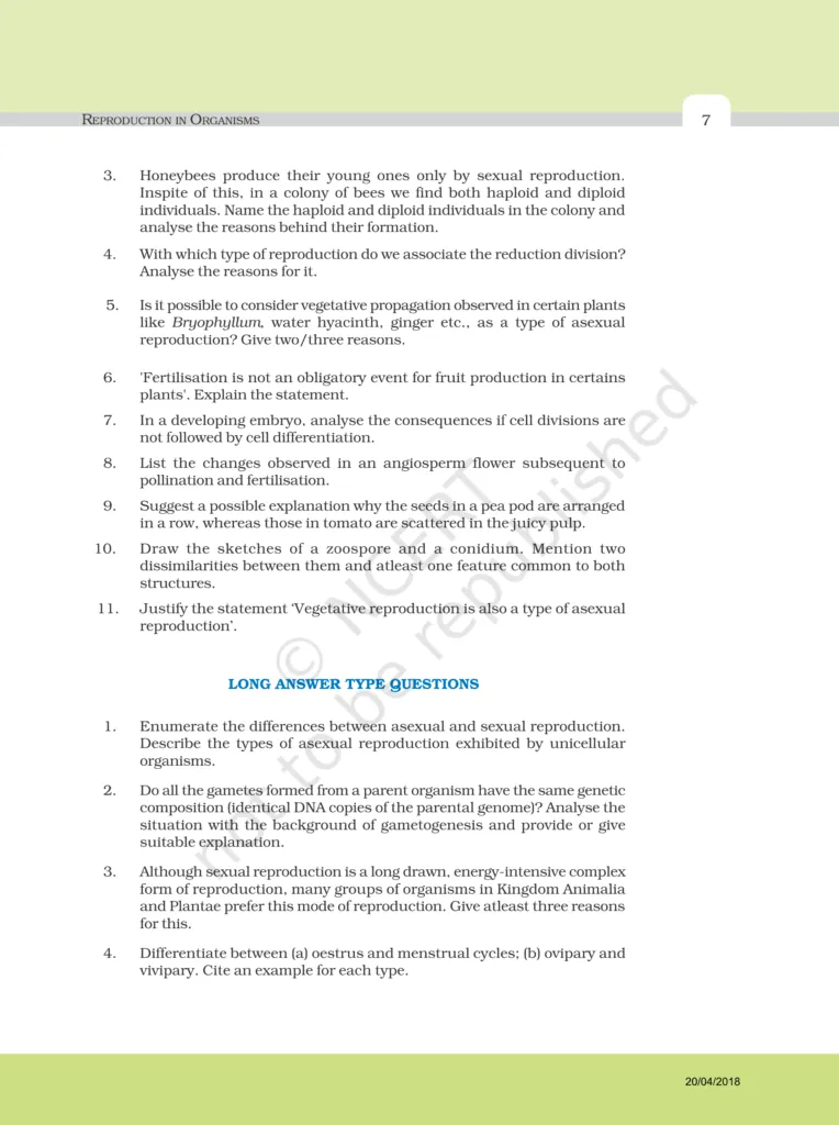 NCERT Exemplar Image 7