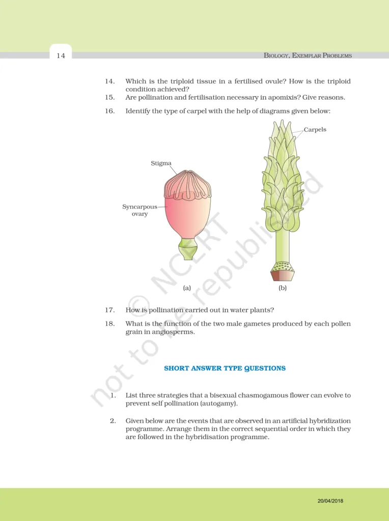 NCERT Exemplar Image 6