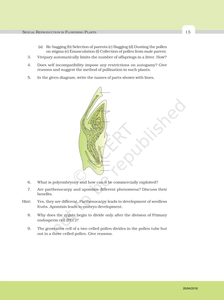 NCERT Exemplar Image 7