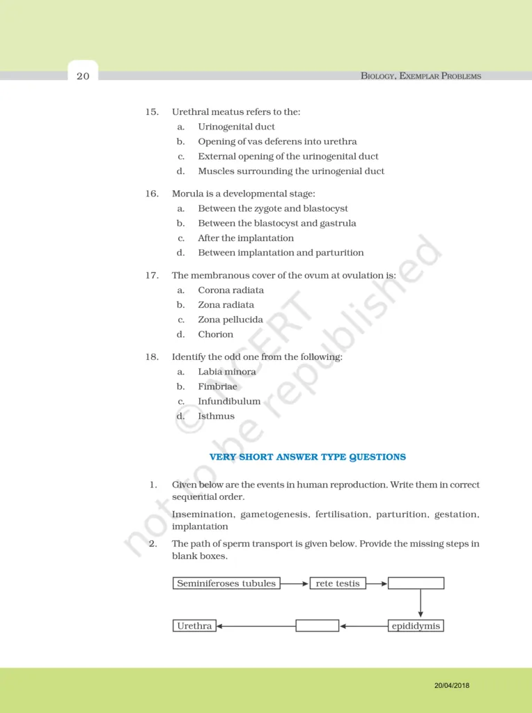 NCERT Exemplar Class 12 Biology Chapter 3 Image 4