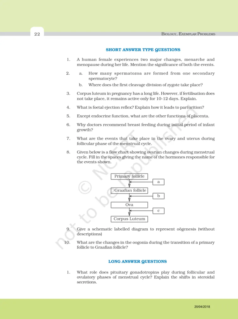 NCERT Exemplar Image 6