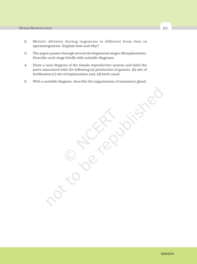 NCERT Exemplar Image 7