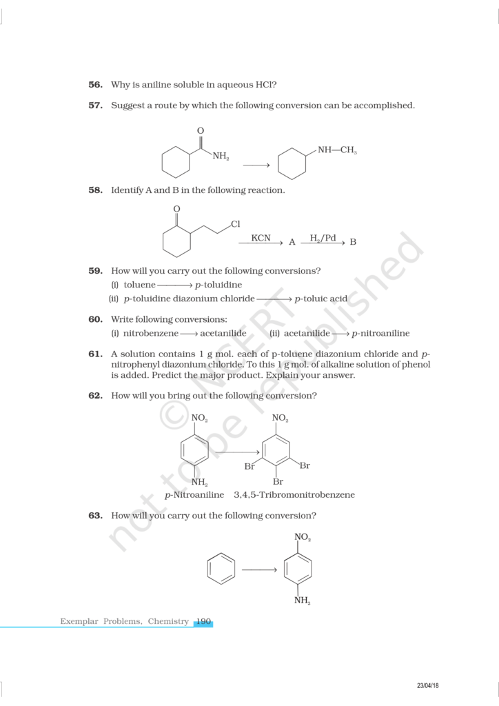 NCERT Exemplar Class 12 Chemistry Chapter 13 Image 11