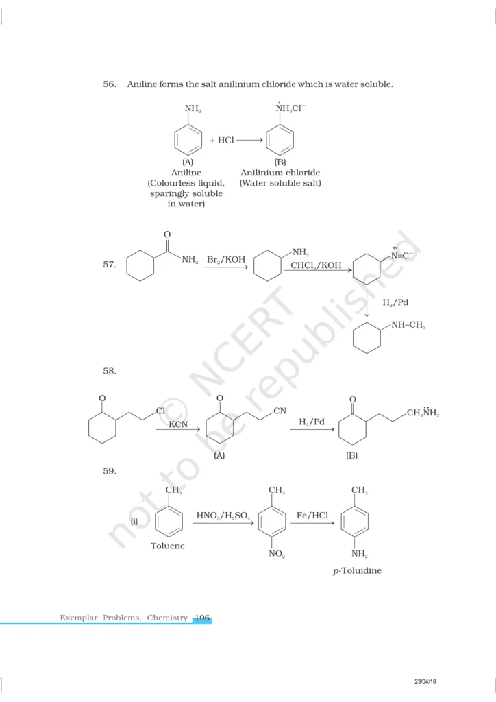 NCERT Exemplar Image 17