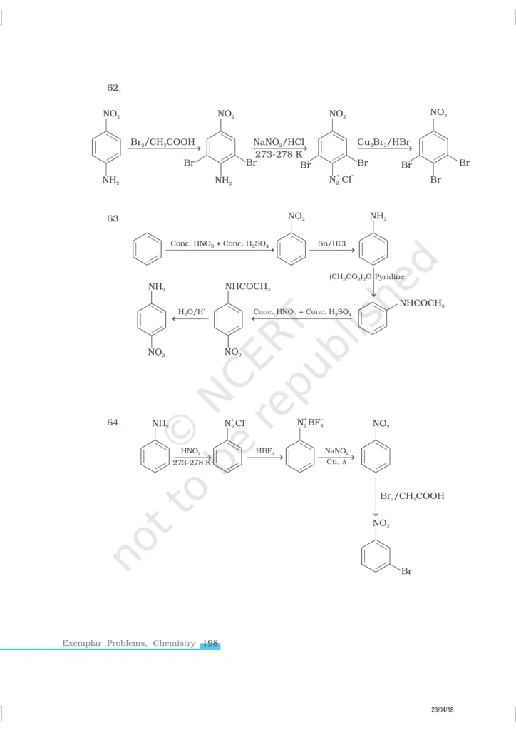 NCERT Exemplar Image 19