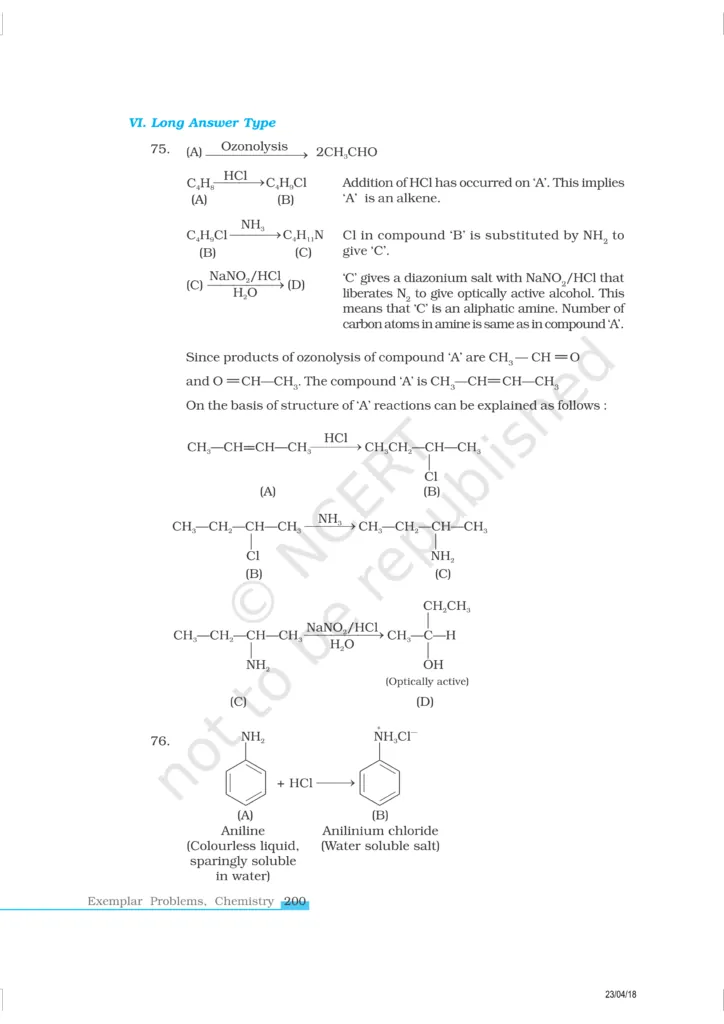 NCERT Exemplar Image 21
