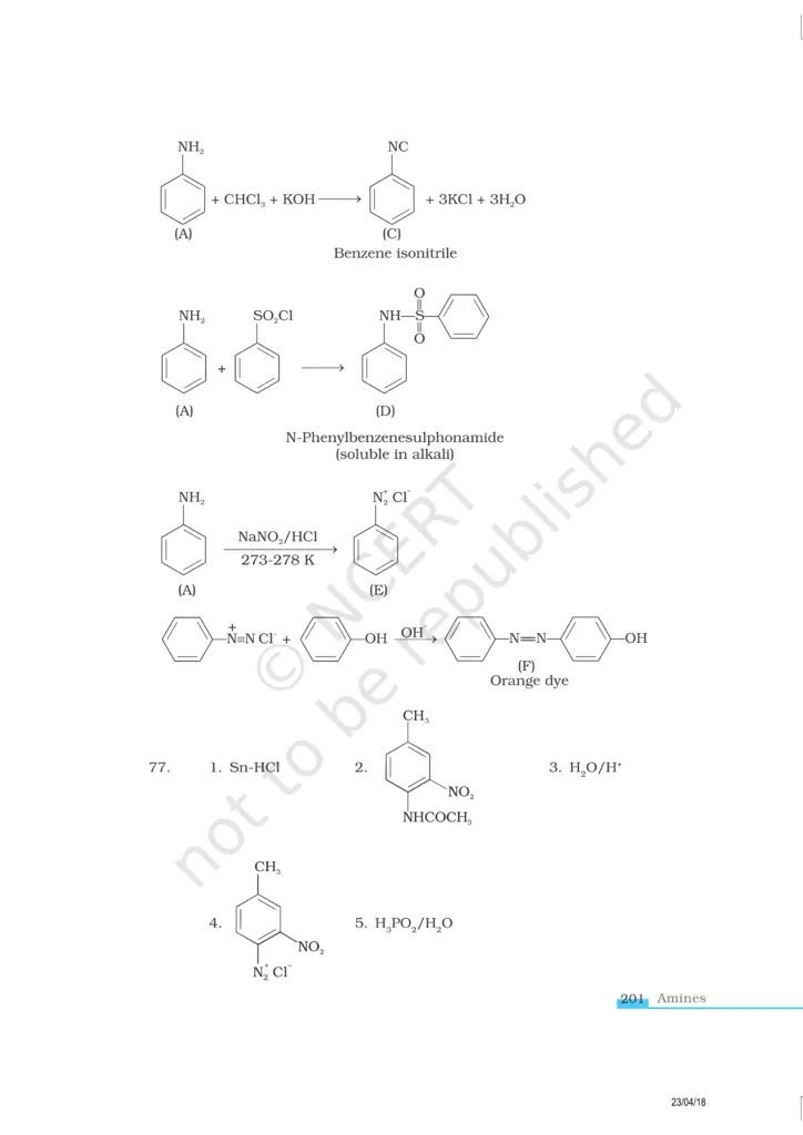 NCERT Exemplar Image 22
