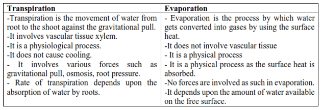 NCERT Solutions for Class 11 Biology chapter 11 Transport in Plants PDF Image 2