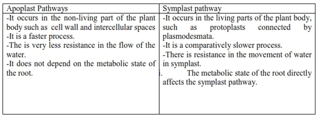 NCERT Solutions for Class 11 Biology chapter 11 Transport in Plants PDF Image 5
