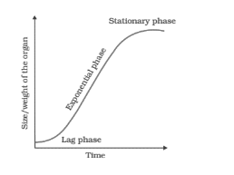 NCERT Solutions for Class 11 Biology chapter 15 Plant Growth and Development PDF Image 3