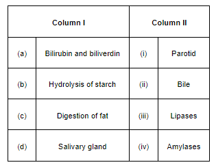 NCERT Solutions for Class 11 Biology chapter 16 Digestion and Absorption PDF Image 1
