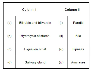 NCERT Solutions for Class 11 Biology chapter 16 Digestion and Absorption PDF Image 1