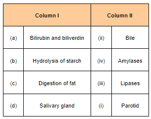 NCERT Solutions for Class 11 Biology chapter 16 Digestion and Absorption PDF Image 2