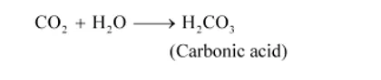 NCERT Solutions for Class 11 Biology chapter 17 Breathing and Exchange of Gases PDF Image 1