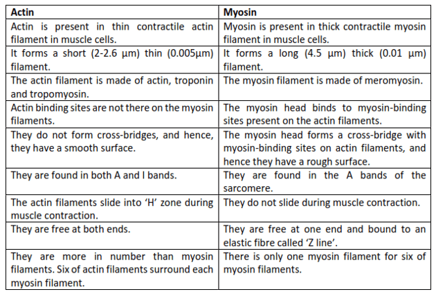 NCERT Solutions for Class 11 Biology chapter 20 Locomotion and Movement PDF Image 2