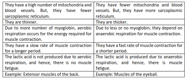 NCERT Solutions for Class 11 Biology chapter 20 Locomotion and Movement PDF Image 4
