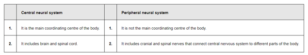 NCERT Solutions for Class 11 Biology chapter 21 Neural Control and Coordination PDF Image 1