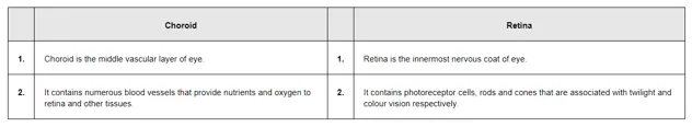 NCERT Solutions for Class 11 Biology chapter 21 Neural Control and Coordination PDF Image 3