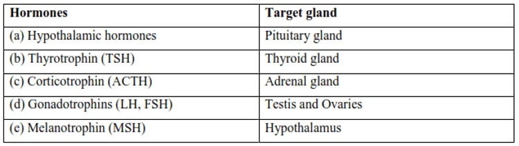 NCERT Solutions for Class 11 Biology chapter 22 Chemical Coordination and Integration PDF Image 8