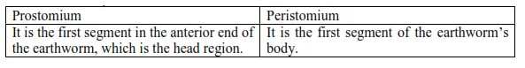 NCERT Solutions for Class 11 Biology chapter 7 Structural Organization in Animals PDF Image 3