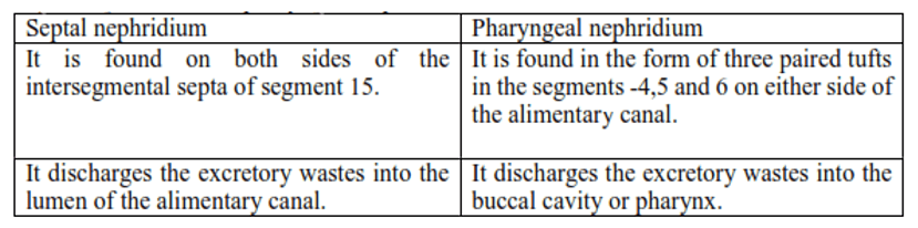 NCERT Solutions for Class 11 Biology chapter 7 Structural Organization in Animals PDF Image 5