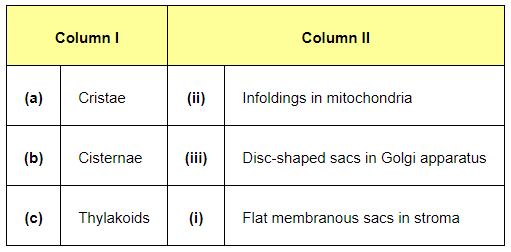 NCERT Solutions for Class 11 Biology chapter 8 Cell The Unit of Life PDF Image 1
