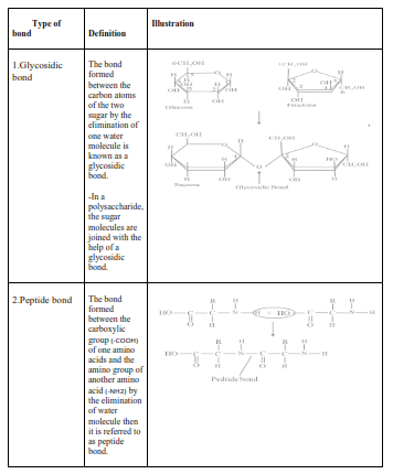 NCERT Solutions for Class 11 Biology chapter 9 Biomolecules PDF Image 1