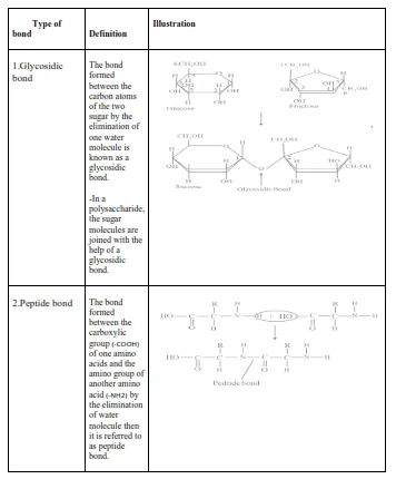 NCERT Solutions for Class 11 Biology chapter 9 Biomolecules PDF Image 1