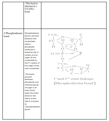 NCERT Solutions for Class 11 Biology chapter 9 Biomolecules PDF Image 2