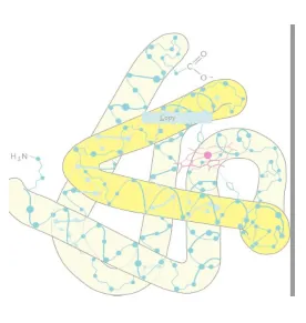 NCERT Solutions for Class 11 Biology chapter 9 Biomolecules PDF Image 3