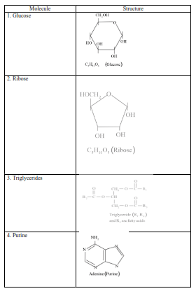 NCERT Solutions for Class 11 Biology chapter 9 Biomolecules PDF Image 4