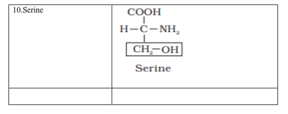 NCERT Solutions for Class 11 Biology chapter 9 Biomolecules PDF Image 6