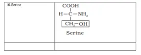NCERT Solutions for Class 11 Biology chapter 9 Biomolecules PDF Image 6