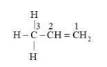 NCERT Solutions for Class 11 Chemistry chapter 12 Organic Chemistry - Some Basic Principles and Techniques PDF Image 2
