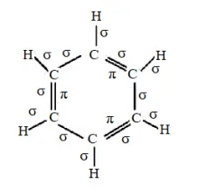 NCERT Solutions for Class 11 Chemistry chapter 12 Organic Chemistry - Some Basic Principles and Techniques PDF Image 5