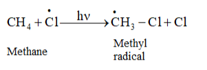 NCERT Solutions for Class 11 Chemistry chapter 13 Hydrocarbons PDF Image 2
