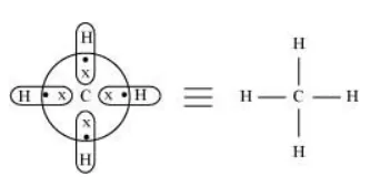 NCERT Solutions for Class 11 Chemistry chapter 9 Hydrogen PDF Image 1