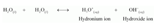 NCERT Solutions for Class 11 Chemistry chapter 9 Hydrogen PDF Image 8